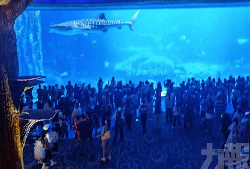 水質監測及餌料投餵等未見異常
